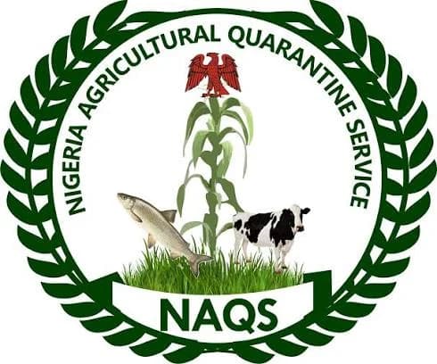 NAQS releases recruitment shortlist, fixes CBT for August 20